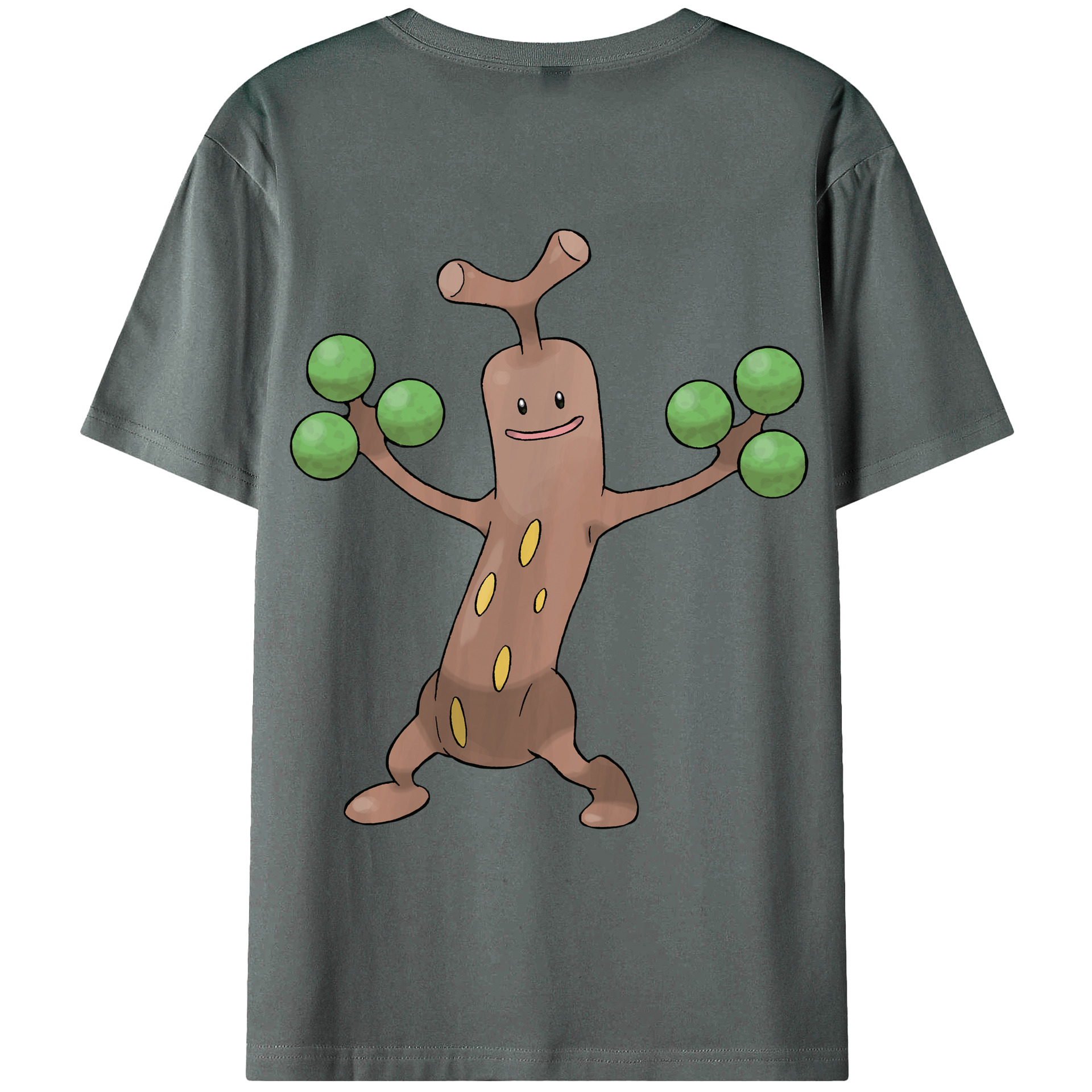 （画像用） ポケットモンスター Pokémon 綿100％ メンズ半袖Tシャツ（バックプリント） 通気性